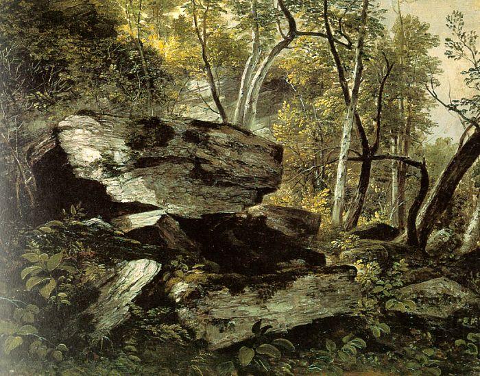 Study from Rocks and Trees, Asher Brown Durand